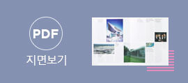 PDF ���麸��